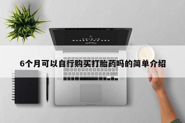 哪里有卖打胎药的私人店6个月可以自行购买打胎药吗的简单介绍